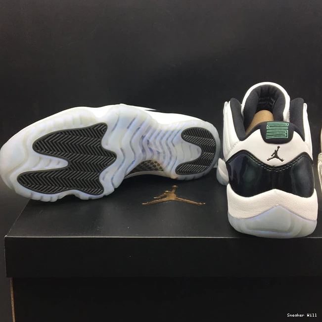 Iridescent Retro AllSeason Jordan 9961 528895- Low 11 1082 0622